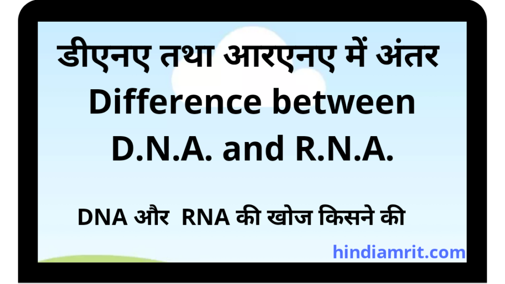 डीएनए की खोज किसने की थी, आरएनए की खोज किसने की थी,टी आरएनए संरचना,rna के कार्य rna क्या है,रना की खोज किसने की,आर एन ए का फुल फॉर्म,आर एन ए का पूरा नाम बताइए,डीएनए परिभाषा in hindi,डीएनए और आरएनए में अंतर, डीएनए क्या होता हैं? आरएनए क्या होता हैं? आरएनए और डीएनए में अंतर, डीएनए के प्रकार,DNA का फुल फॉर्म, RNA का फुल फॉर्म,Differences between D.N.A and R.N.A in hindi,
