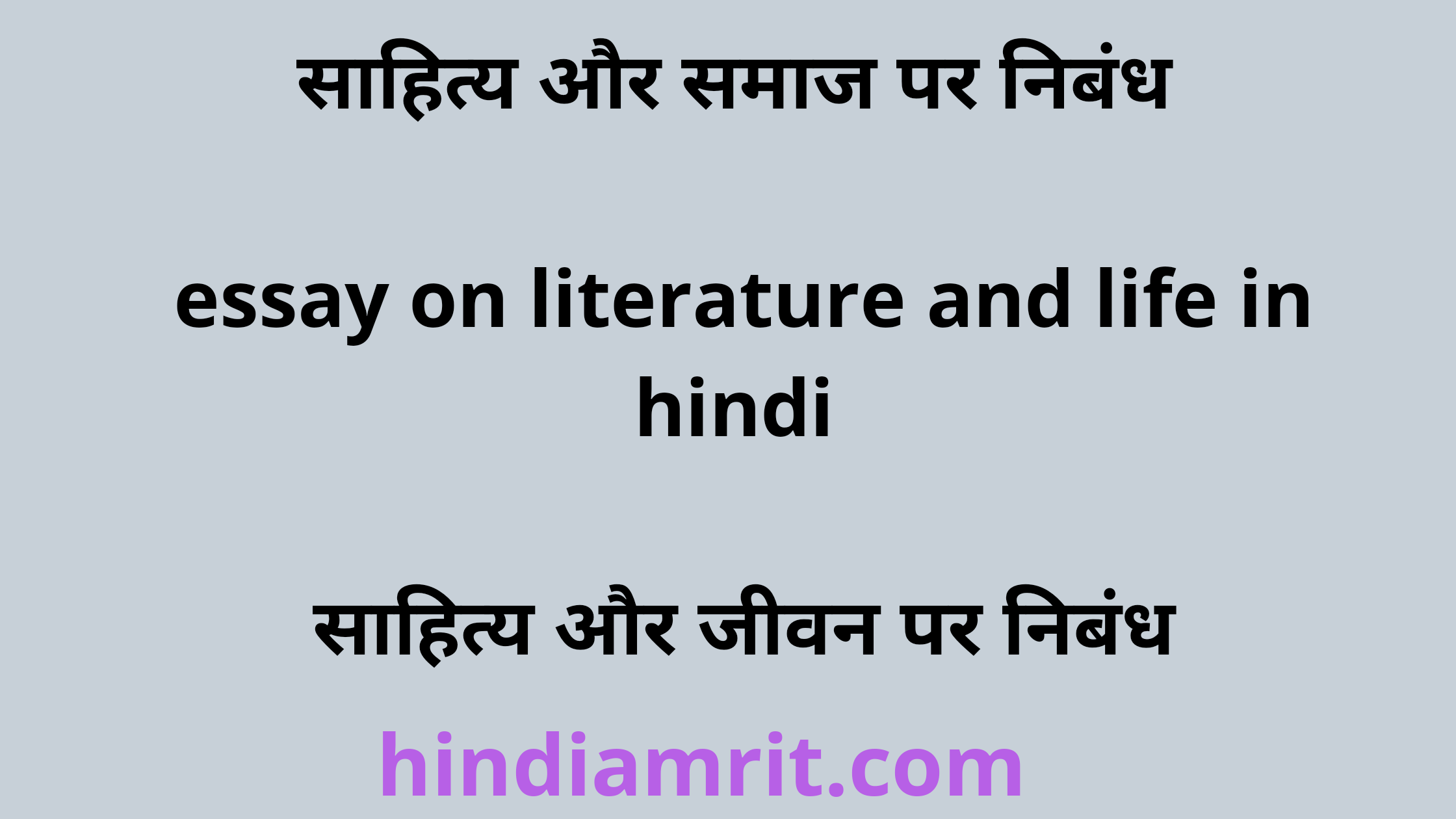 essay on literature in hindi