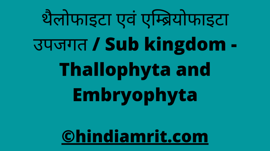 थैलोफाइटा एवं एम्ब्रियोफाइटा उपजगत / Sub kingdom - Thallophyta and Embryophyta