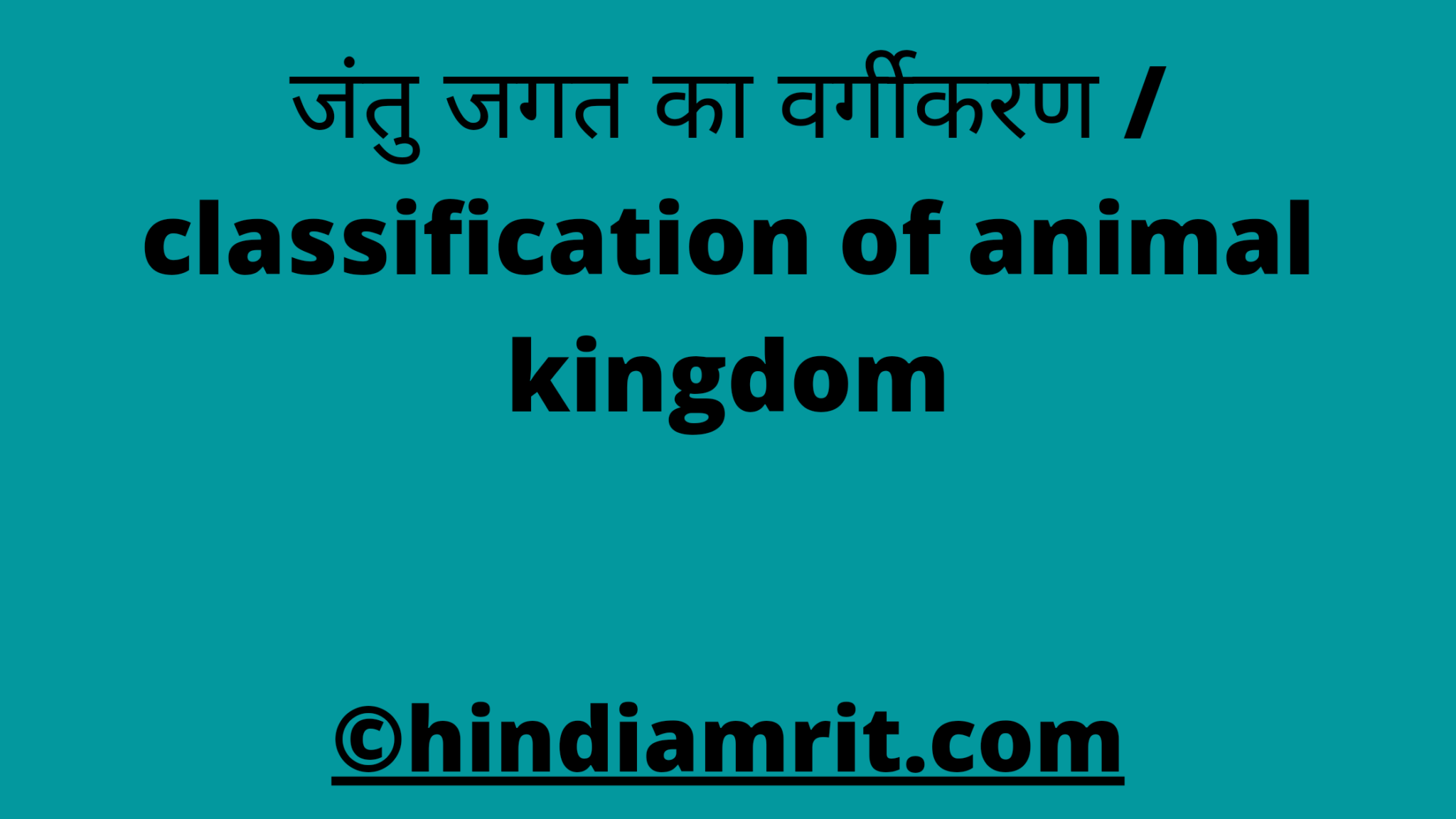 classification-of-animal-kingdom