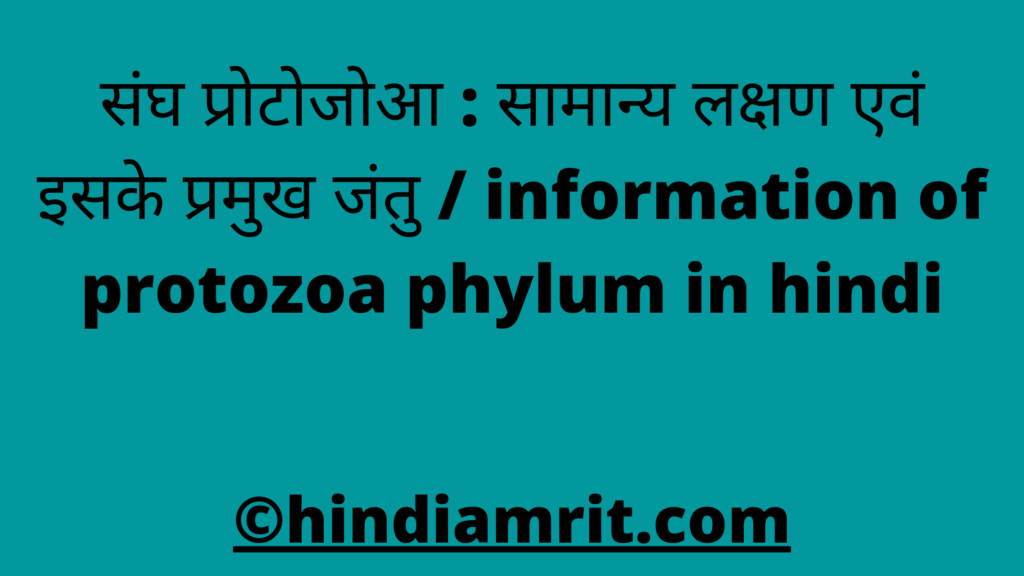 संघ प्रोटोजोआ : सामान्य लक्षण एवं इसके प्रमुख जंतु / information of protozoa phylum in hindi