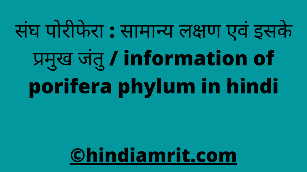 संघ पोरीफेरा : सामान्य लक्षण एवं इसके प्रमुख जंतु / information of porifera phylum in hindi