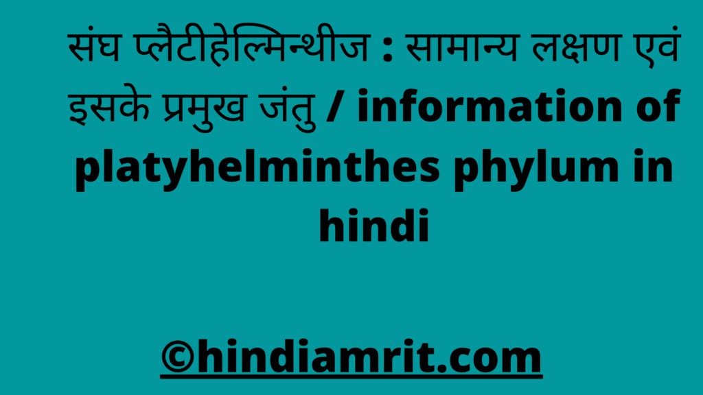 संघ प्लैटीहेल्मिन्थीज : सामान्य लक्षण एवं इसके प्रमुख जंतु / information of platyhelminthes phylum in hindi