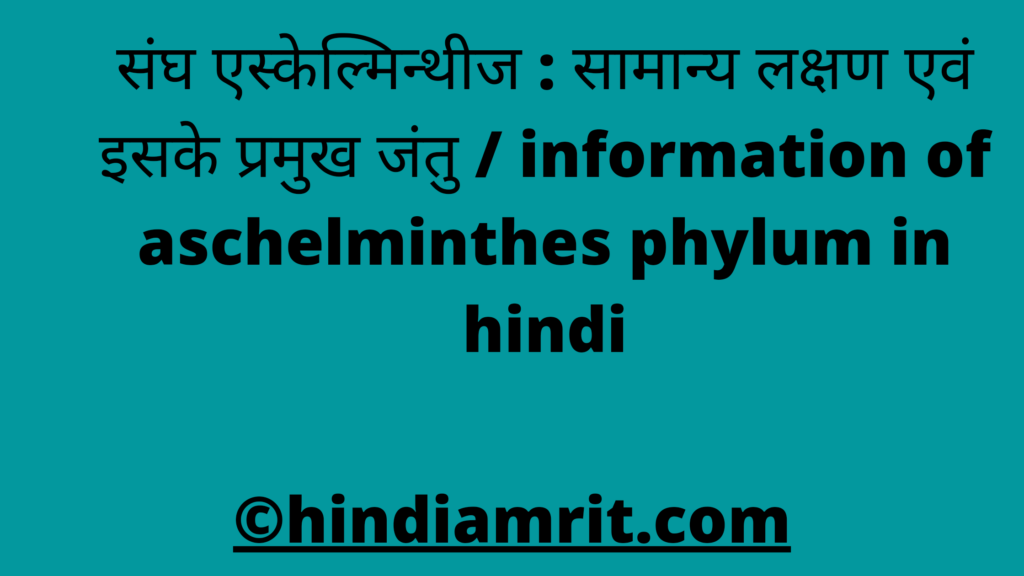 संघ एस्केल्मिन्थीज : सामान्य लक्षण एवं इसके प्रमुख जंतु / information of aschelminthes phylum in hindi