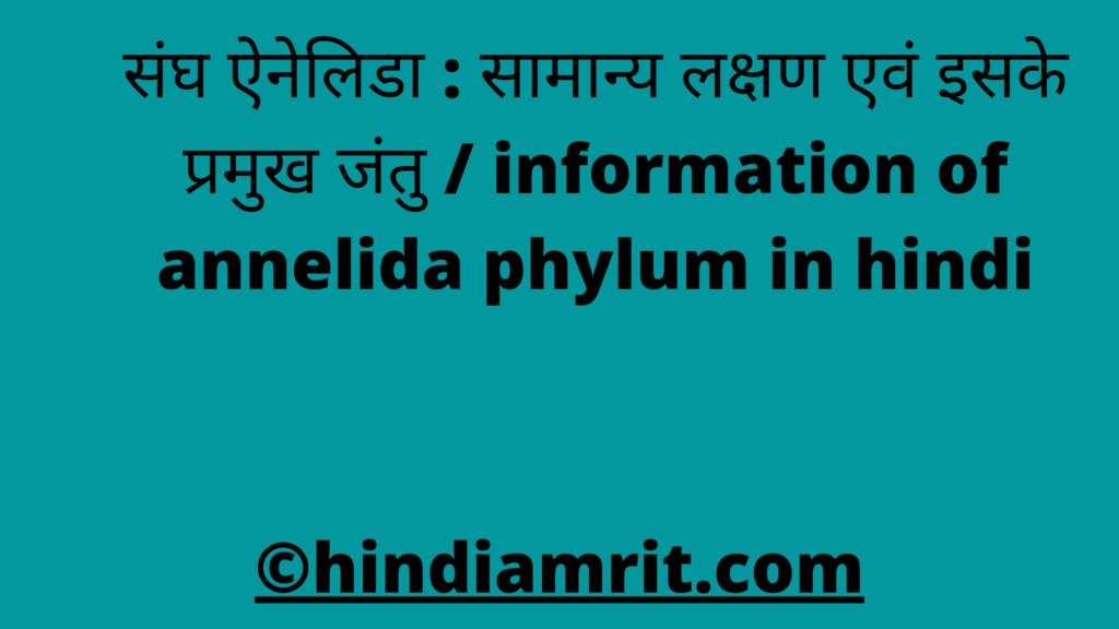 संघ ऐनेलिडा : सामान्य लक्षण एवं इसके प्रमुख जंतु / information of annelida phylum in hindi
