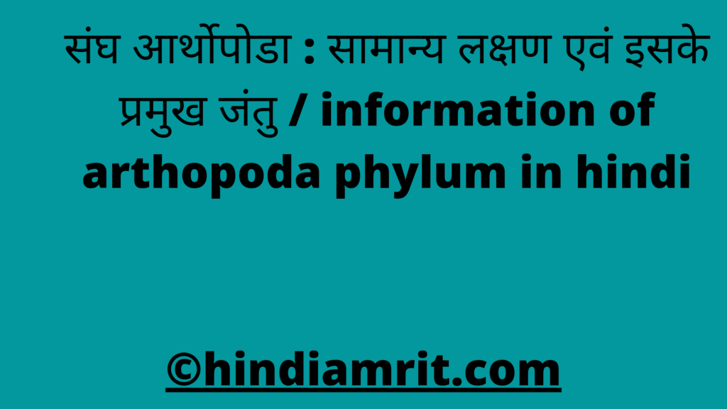 संघ आर्थोपोडा : सामान्य लक्षण एवं इसके प्रमुख जंतु / information of arthopoda phylum in hindi