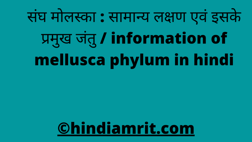 संघ मोलस्का : सामान्य लक्षण एवं इसके प्रमुख जंतु / information of mellusca phylum in hindi