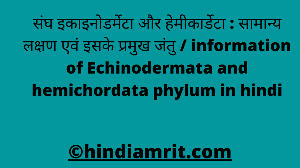 संघ इकाइनोडर्मेटा और हेमीकार्डेटा : सामान्य लक्षण एवं इसके प्रमुख जंतु / information of Echinodermata and hemichordata phylum in hindi