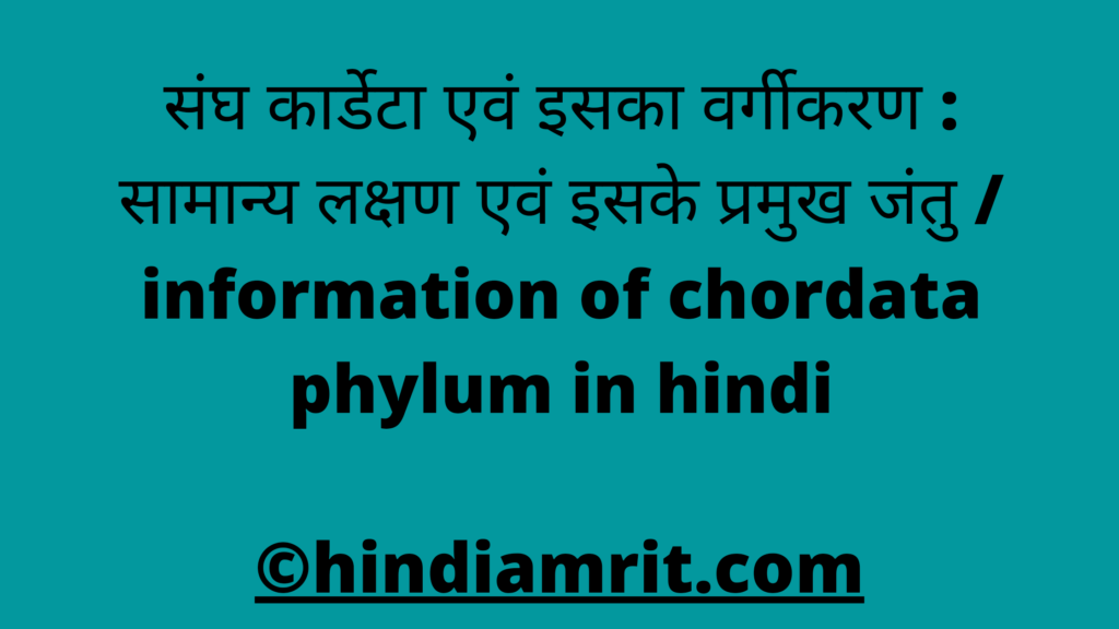 संघ कार्डेटा एवं इसका वर्गीकरण : सामान्य लक्षण एवं इसके प्रमुख जंतु / information of chordata phylum in hindi