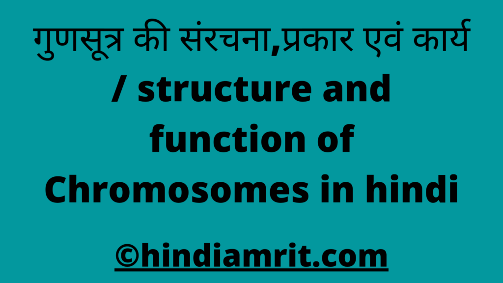 गुणसूत्र की संरचना,प्रकार एवं कार्य / structure and function of Chromosomes in hindi