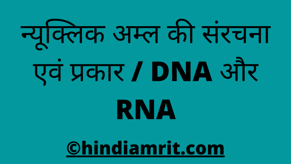 न्यूक्लिक अम्ल की संरचना एवं प्रकार / DNA और RNA