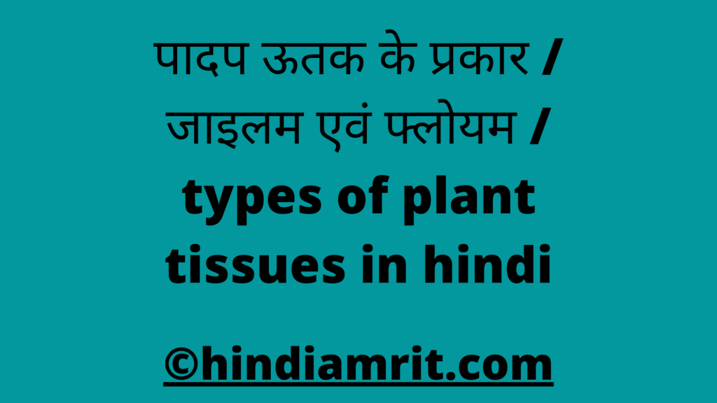 पादप ऊतक के प्रकार / जाइलम एवं फ्लोयम / types of plant tissues in hindi
