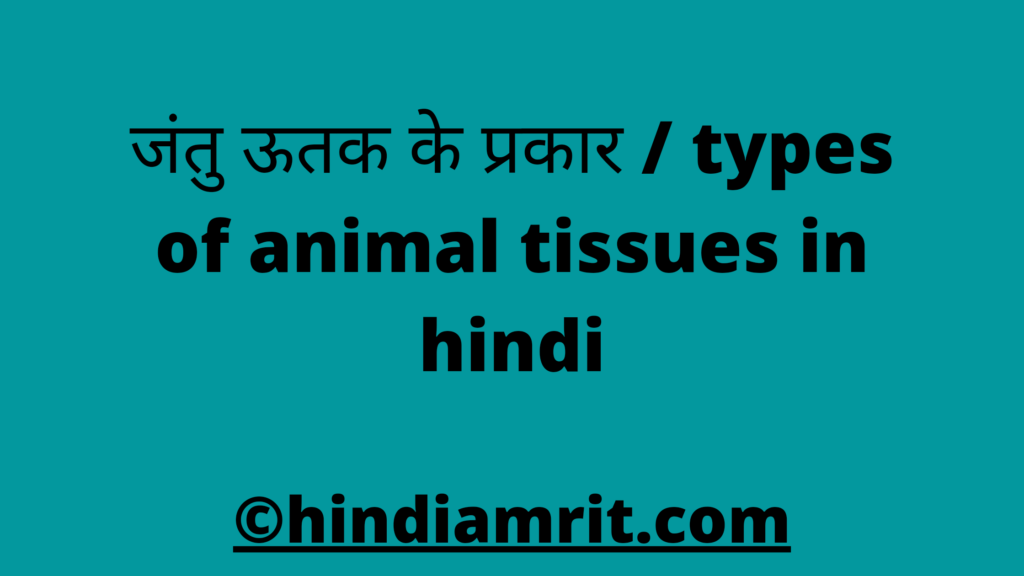 types of animal tissues in hindi,जंतु ऊतक के प्रकार / types of animal tissues in hindi